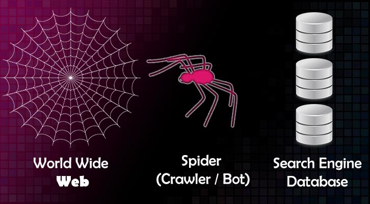 World-Wide-Web-Spider-Crawler-Bot-Database